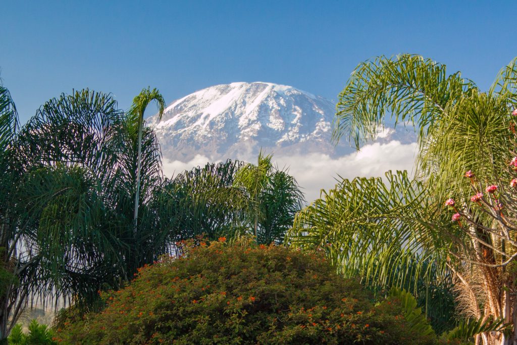 Kilimanjaro National Park