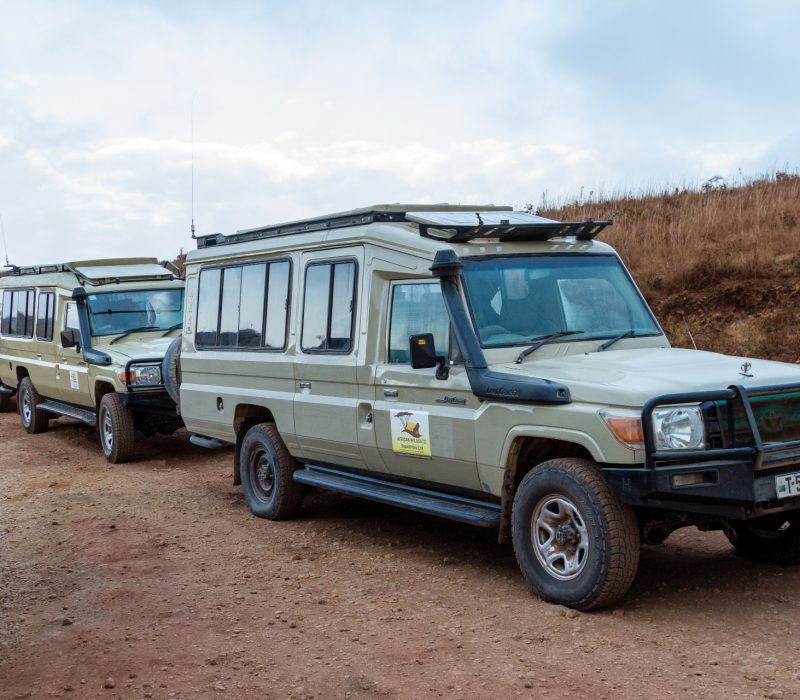 4x4 Safari Cars