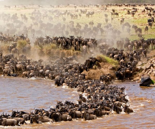 Migration-Crossing-the-Grumeti-River